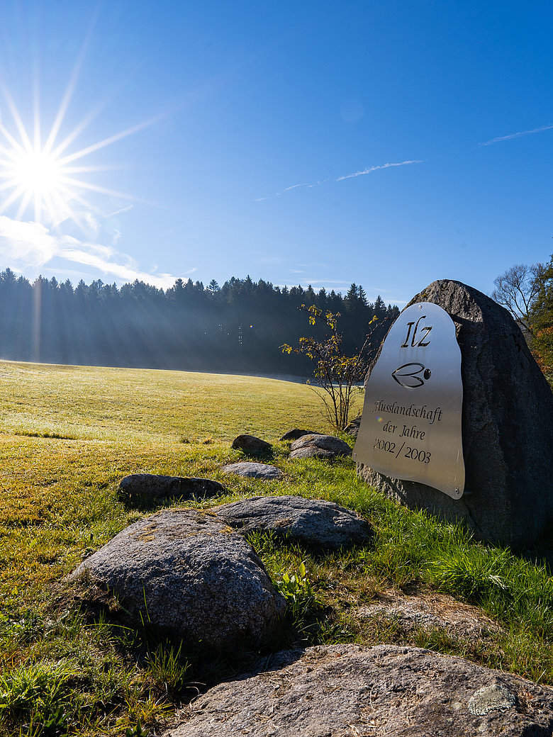 Woidlife photography - Marco Felgenhauer
